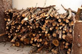 It gets too cold here to ha e to worry about bugs in wood piles. Firewood Wikipedia