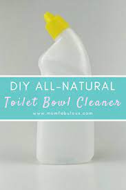 diy all natural toilet bowl cleaner