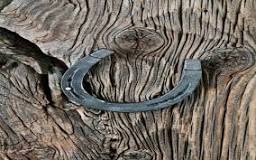 do-horses-get-hurt-when-the-horseshoes-are-nailed-on