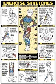 Great Chart That Shows How Different Stretches Benefit