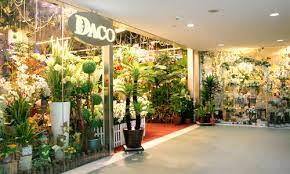 daco artificial plants in singapore
