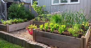 Gardening In Raised Beds Benefits And