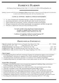 Nursing Resume Objective Example Resume BuilderResume Objective Examples  Application Letter Sample