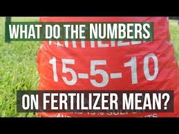 what is 10 10 10 fertilizer what does