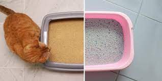 what types of cat litter to why