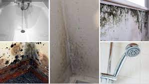 Mould On Walls Stop It And Remove It