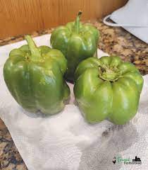 tips for freezing bell peppers