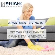 diy carpet cleaner wine stain removal