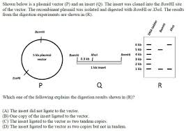 362 Questions With Answers In Restriction Enzyme Science Topic