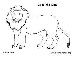 Maybe you would like to learn more about one of these? Lion Coloring Page