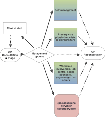 A conceptual framework is a written or visual representation of an expected relationship between variables. A Conceptual Framework For Increasing Clinical Staff Member Involvement In General Practice A Proposed Strategy To Improve The Management Of Low Back Pain Bmc Family Practice Full Text