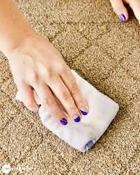 carpet stain remover spray
