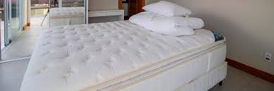How To Check Your Mattress For Bed Bugs