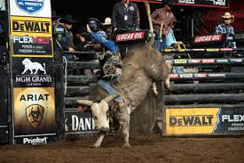 Rodeo Cowboys Bull Riders Head Back To Bay Area