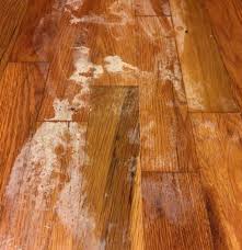 get nail polish off hardwood floors