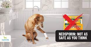 can you use neosporin on dogs dogs