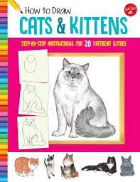 I try to draw this in a fashion where anyone can draw it. How To Draw Cats Kittens Step By Step Instructions For 20 Different Kitties Learn To Draw Fisher Diana Amazon De Bucher