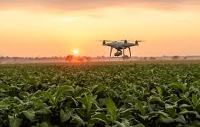 how drones are used in agriculture