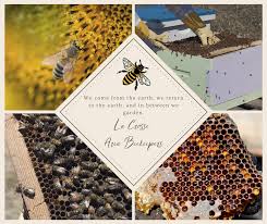 Beekeeping Extension La Crosse County