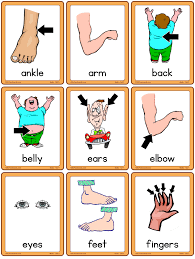 Esl printable body parts vocabulary worksheets, picture dictionaries, matching exercises, word search and crossword puzzles, missing a picture dictionary and classroom poster esl printable worksheet for kids to study and learn body parts vocabulary. Body Set 1 Esl Flashcards