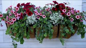 Don't choose a window box that is too long or short. Potting Shed Window Box Youtube