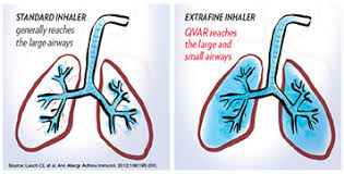 We did not find results for: Qvar New Zealand S Only Extrafine Asthma Preventer Inhaler
