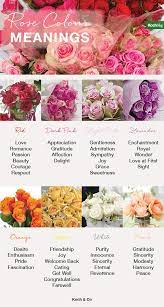Maybe you would like to learn more about one of these? What Does Each Colour Rose Mean Rose Color Guide The Koch Blog