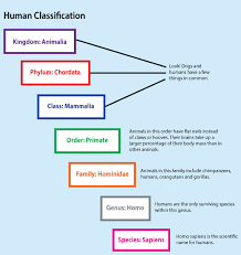 Classification And Taxonomy Lessons Tes Teach