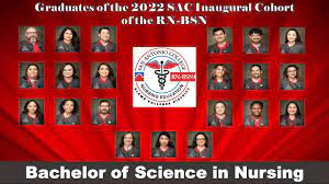 nursing alamo colleges