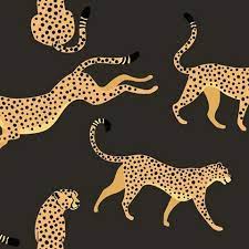 rmk11986rl cheetah cheetah p s