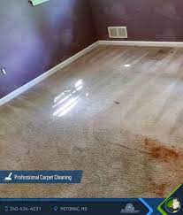 steam deep carpet cleaning services