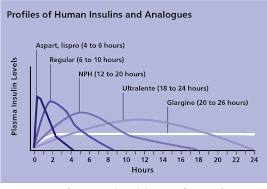 Figure 2 From Insulin Therapy For Type 2 Diabetes Rescue