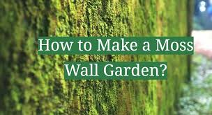 How To Make A Moss Wall Garden