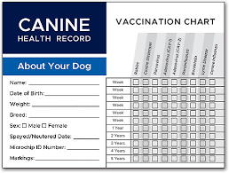 canine health record pet vaccination