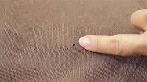 how to fix a hole in jersey knit fabric