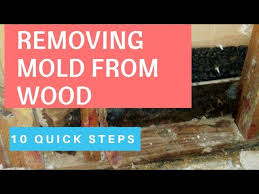 Wood How To Remove Mold Inside Walls