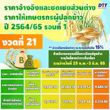 เงินประกันรายได้ข้าว งวด 21 วิธีเช็คเงินประกันราคาข้าวว่าเข้าหรือยัง ?  ดูที่นี่ | Thaiger ข่าวไทย