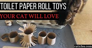 Wedge toilet paper rolls vertically inside a box. 13 Simple Diy Toilet Paper Roll Toys For Cats Caticles