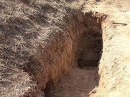 Image result for dirt tunnel natural