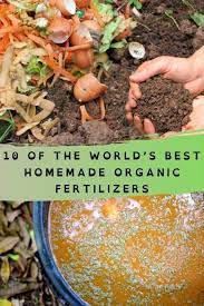 homemade organic fertilizers