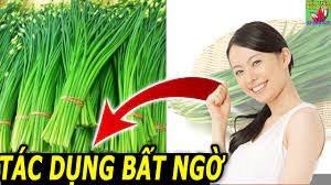 Ăn Dặm Kiểu Nhật] CÁCH NẤU CHÁO TRÁI CÂY ĐẦY DINH DƯỠNG CHO BÉ YÊU ĂN DẶM |  Món Ngon Của Bé - Wikihoc.vn