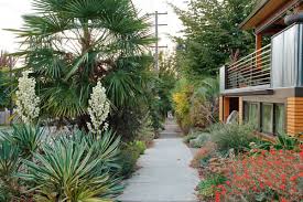 The Quintessential Portland Gardener