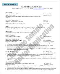 essays on mark twains huckleberry finn      essay grade resource     Resume    Glamorous How To Update A Resume Examples    Interesting     Functional Resume Sample for Monster