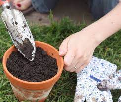 the best potting soil for vegetables a