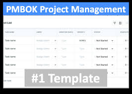 pmbok project management model template