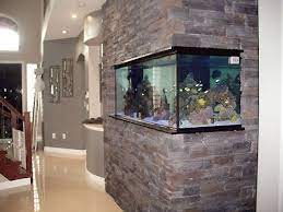 Wall Aquarium Aquarium Design Fish Tank