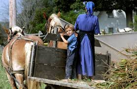 amish live a life apart far from violence