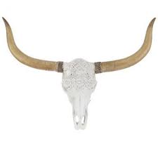 Longhorn Skull Wall Decor With Lace