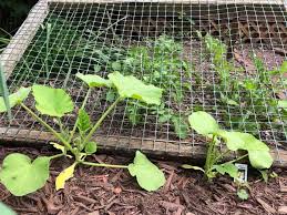 How To Build A Vegetable Trellis