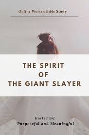 1 player = 1 giant. New Bible Study The Spirit Of The Giant Slayer P M